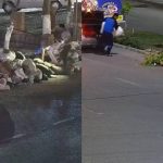 С начала года в Узбекистане выявили более 3,7 тыс. случаев незаконного выброса мусора