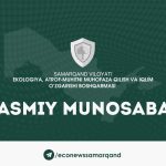 На кладбище в Самаркандской области незаконно срубили несколько деревьев