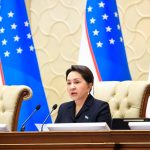 Сенат одобрил государственный бюджет на 2026 год