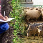 760 личных подсобных хозяйств в Казахстане не участвовали в сельхозпереписи