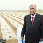 Лидер нации Эмомали Рахмон в Матчинском районе начал кампанию по посеву хлопка на землях дехканского хозяйства «Мирхонд»