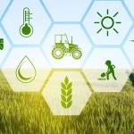 Казахстан усиливает трансформацию АПК в рамках ЕАЭС