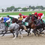 В Туркменистане отмечают Национальный праздник туркменского скакуна