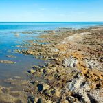 Туркменистан предложил разработать новую резолюцию ООН по Аральскому морю