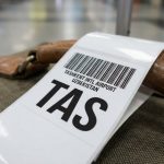 Узбекистан стал главным международным направлением для российских авиакомпаний