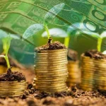 Казахстан нарастил экспорт сельхозпродукции до исторического максимума