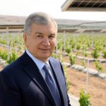 Шавкат Мирзиёев ознакомился с технологией агровольтаики, внедренной в Куве