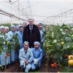 В Таджикистане более 52 тысяч дехканских хозяйств, которыми руководят женщины