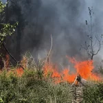 Шесть лесных пожаров произошли в Казахстане за один день