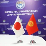Кыргызстан и Япония намерены расширить сотрудничество в сфере образования
