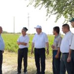 Заместитель Премьер-министра Таджикистана ознакомился с ходом полевых работ и обеспечением поливной водой в Зафарабадском районе