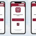 Использование мобильного приложения «Амина» станет обязательным для иностранных граждан, въезжающих в Россию в безвизовом порядке
