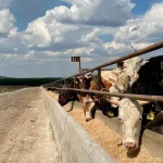 Первая платная дорога в Узбекистане обошлась на 30 млн долларов дороже первоначальной оценки